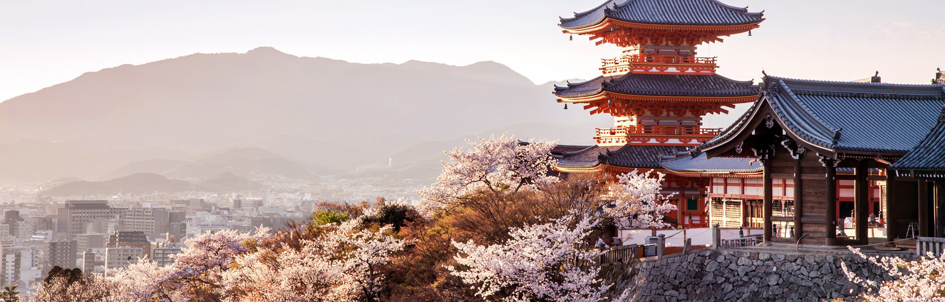 Japan Tour Package - 7 Nights