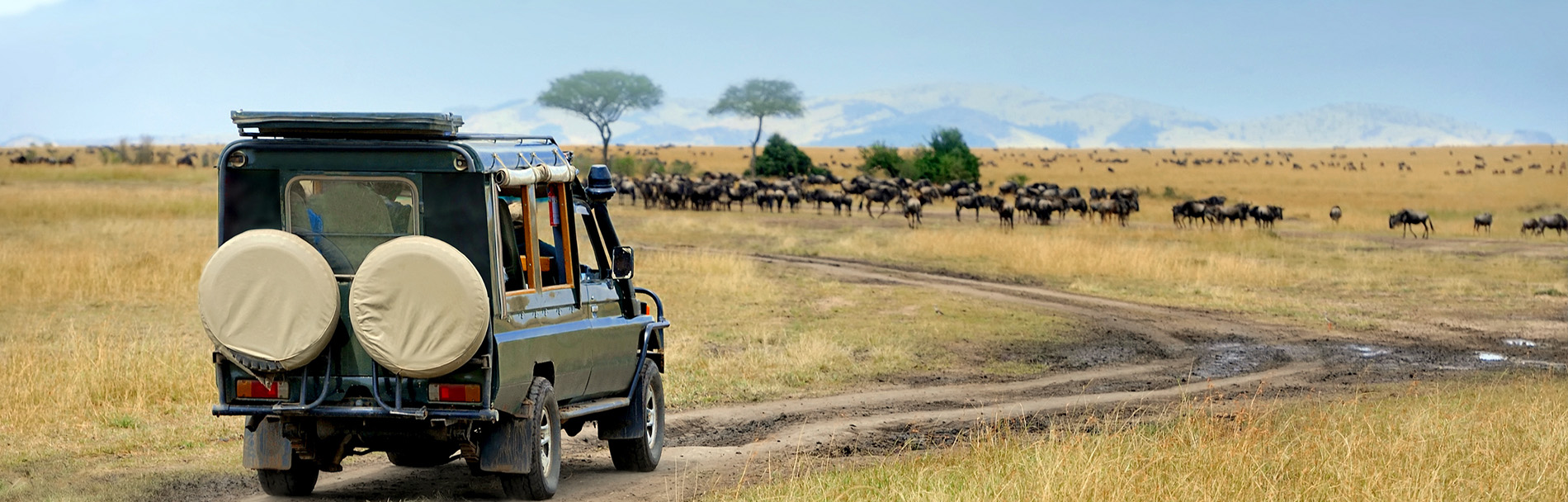 Kenya Tour Package - 10 Nights